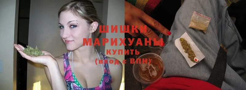 Бошки марихуана индика  Рубцовск 